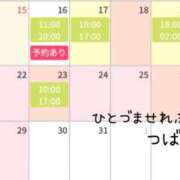 ヒメ日記 2025/12/15 19:55 投稿 つばさ 千葉人妻セレブリティ（ユメオト）