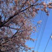 ヒメ日記 2025/04/01 08:01 投稿 みさと 春日部人妻花壇