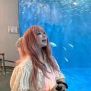 ヒメ日記 2025/09/06 18:02 投稿 ひめか 錦糸町ちゃんこ