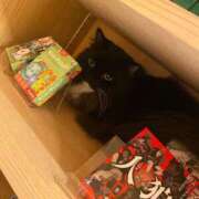 ヒメ日記 2024/12/14 16:40 投稿 りか ギン妻パラダイス 堺東店