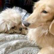 ヒメ日記 2024/12/28 16:48 投稿 りか ギン妻パラダイス 堺東店