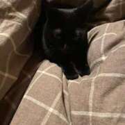 ヒメ日記 2025/01/02 11:01 投稿 りか ギン妻パラダイス 堺東店