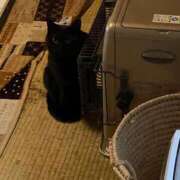 ヒメ日記 2025/01/17 16:51 投稿 りか ギン妻パラダイス 堺東店