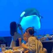 ヒメ日記 2025/02/20 14:19 投稿 りか ギン妻パラダイス 堺東店