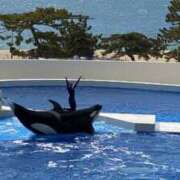 ヒメ日記 2025/02/21 18:38 投稿 りか ギン妻パラダイス 堺東店