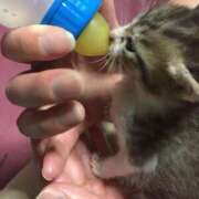 ヒメ日記 2025/03/20 18:20 投稿 りか ギン妻パラダイス 堺東店