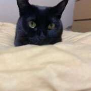 ヒメ日記 2025/03/24 12:32 投稿 りか ギン妻パラダイス 堺東店