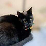 ヒメ日記 2025/05/12 18:04 投稿 りか ギン妻パラダイス 堺東店