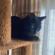 ヒメ日記 2025/06/12 23:13 投稿 りか ギン妻パラダイス 堺東店