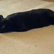 ヒメ日記 2025/09/10 17:56 投稿 りか ギン妻パラダイス 堺東店