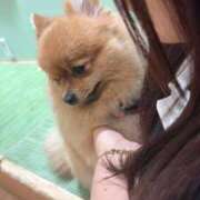 ヒメ日記 2025/10/11 11:30 投稿 りか ギン妻パラダイス 堺東店