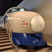 ヒメ日記 2025/12/31 08:28 投稿 清崎　いずみ エテルナ彦根