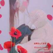 ヒメ日記 2025/03/23 00:27 投稿 あきほ 新宿スピン