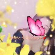 ヒメ日記 2025/03/26 23:59 投稿 あきほ 新宿スピン