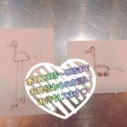 ヒメ日記 2025/04/18 21:07 投稿 あきほ 新宿スピン