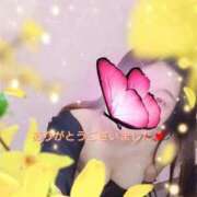 ヒメ日記 2025/09/19 00:27 投稿 あきほ 新宿スピン