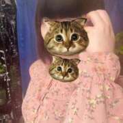 ヒメ日記 2025/04/09 11:18 投稿 らすか ルーフ福井