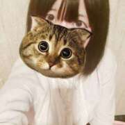 ヒメ日記 2025/07/25 11:03 投稿 らすか ルーフ福井