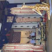 ヒメ日記 2025/08/15 08:00 投稿 木梨まいこ 五十路マダム 徳島店