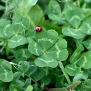 ヒメ日記 2025/10/22 09:30 投稿 木梨まいこ 五十路マダム 徳島店