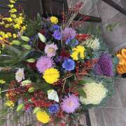 木梨まいこ おはようございます 五十路マダム 徳島店