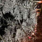 木梨まいこ おはようございます！ 五十路マダム 徳島店