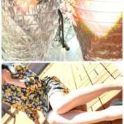 ヒメ日記 2024/12/29 23:31 投稿 こずえ 即アポマダム～名古屋店～