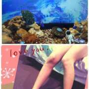 ヒメ日記 2025/07/24 21:21 投稿 こずえ 即アポ奥さん〜名古屋店〜