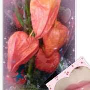 ヒメ日記 2025/08/13 21:24 投稿 こずえ 即アポ奥さん〜名古屋店〜