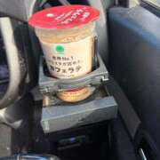 ヒメ日記 2024/12/31 13:02 投稿 のら☆ 豊橋豊川ちゃんこ