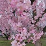 ヒメ日記 2025/04/18 15:37 投稿 あさか ミセス クリエーション