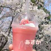 ヒメ日記 2025/04/19 10:31 投稿 あさか ミセス クリエーション