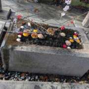 ヒメ日記 2025/12/31 22:00 投稿 ほずみ ミセス クリエーション