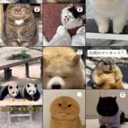 ヒメ日記 2025/09/19 14:10 投稿 さやか ミセス クリエーション