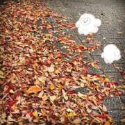 ヒメ日記 2025/11/03 14:40 投稿 さやか ミセス クリエーション