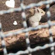 ヒメ日記 2026/03/14 14:15 投稿 さやか ミセス クリエーション