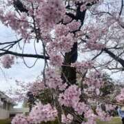 ヒメ日記 2026/04/07 18:20 投稿 ひとみ ミセス クリエーション