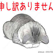 るか ごめんなさい 🙇🙇 ミセス クリエーション
