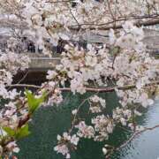 ヒメ日記 2025/04/13 00:08 投稿 よしえ 熟女の風俗最終章 高崎店