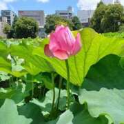 ヒメ日記 2025/09/09 10:38 投稿 よしえ 熟女の風俗最終章 高崎店