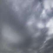 ヒメ日記 2024/12/19 11:04 投稿 れんか 丸妻 新横浜店