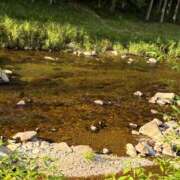 ヒメ日記 2025/07/28 21:20 投稿 れんか 丸妻 新横浜店