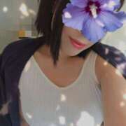 ヒメ日記 2025/04/04 12:31 投稿 かずさ セレブクエスト-koshigaya-