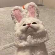 ヒメ日記 2025/06/08 15:03 投稿 はづき 萌えカワ