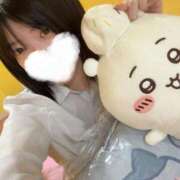 ヒメ日記 2025/07/31 17:02 投稿 はづき 萌えカワ