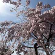 ゆき お疲れ様です 🌸🩷 ミセス クリエーション