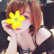 ヒメ日記 2025/04/09 17:14 投稿 みすず【新人割引期間中】 クリスタル