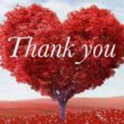 ヒメ日記 2025/03/20 04:50 投稿 日高（ひだか） 熟女の風俗最終章 名古屋店