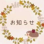 ヒメ日記 2025/04/02 16:47 投稿 日高（ひだか） 熟女の風俗最終章 名古屋店