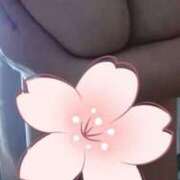 ヒメ日記 2025/10/13 21:14 投稿 日高（ひだか） 熟女の風俗最終章 名古屋店